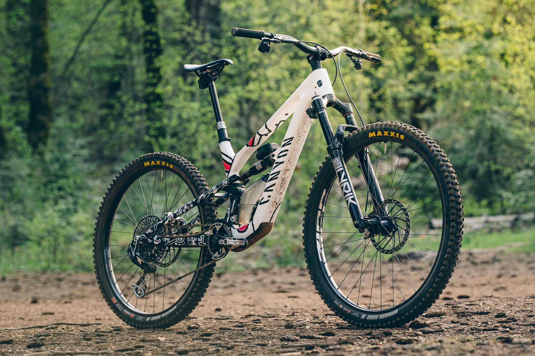 Canyon Spectral